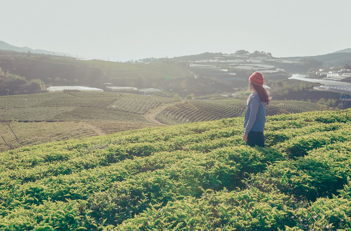 Mistakes to Avoid When Buying Land in Washington